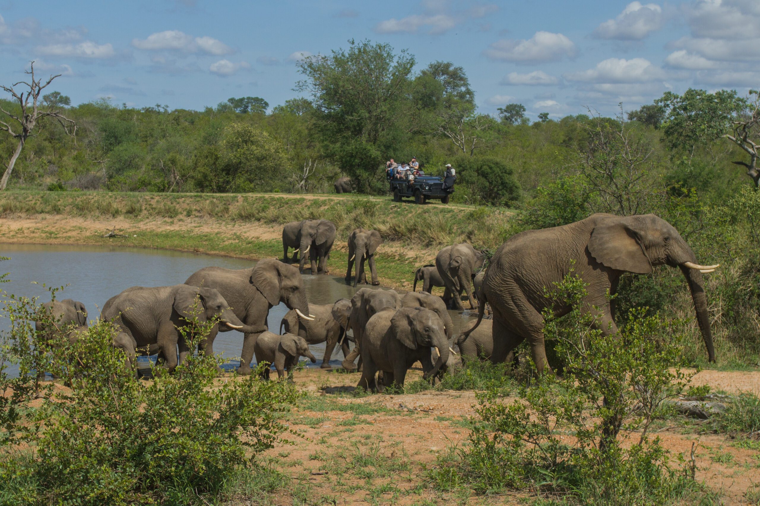 Makanyi Lodge Animal Encounters 1 1 1 scaled