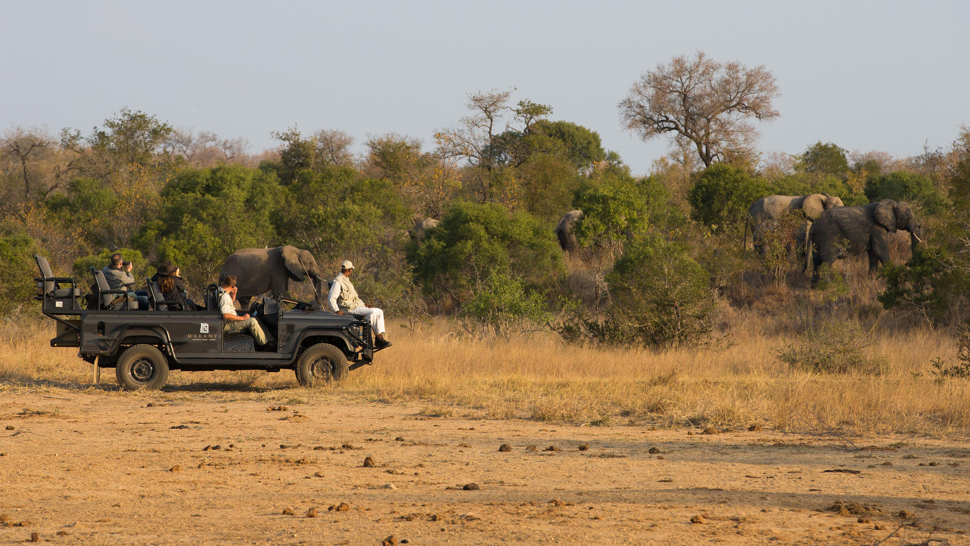 makanyi safari lodge timbavati 62