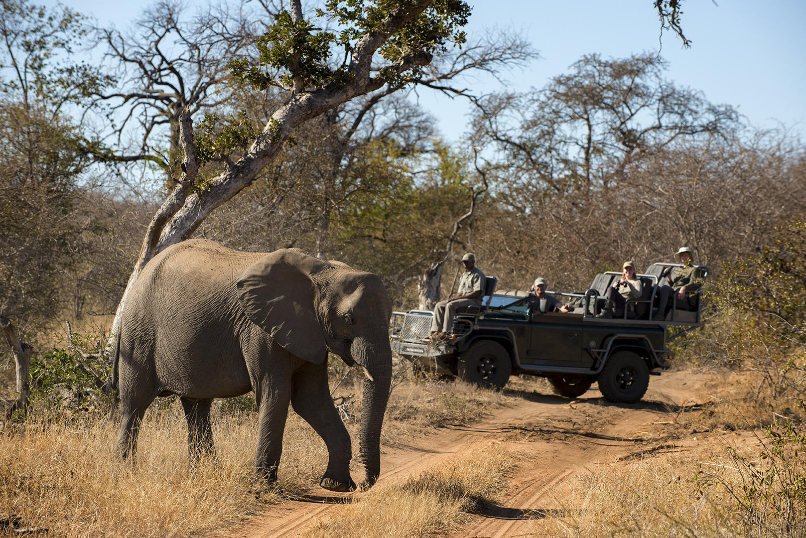 rockfig safari lodge african safari direct (1)