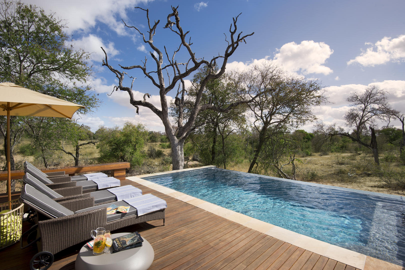 rockfig safari lodge african safari direct (11)
