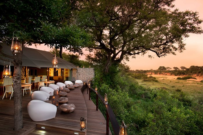 &beyond ngala tented camp 3