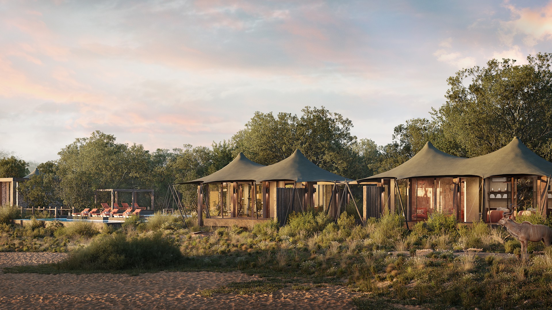 &beyond ngala tented camp 4