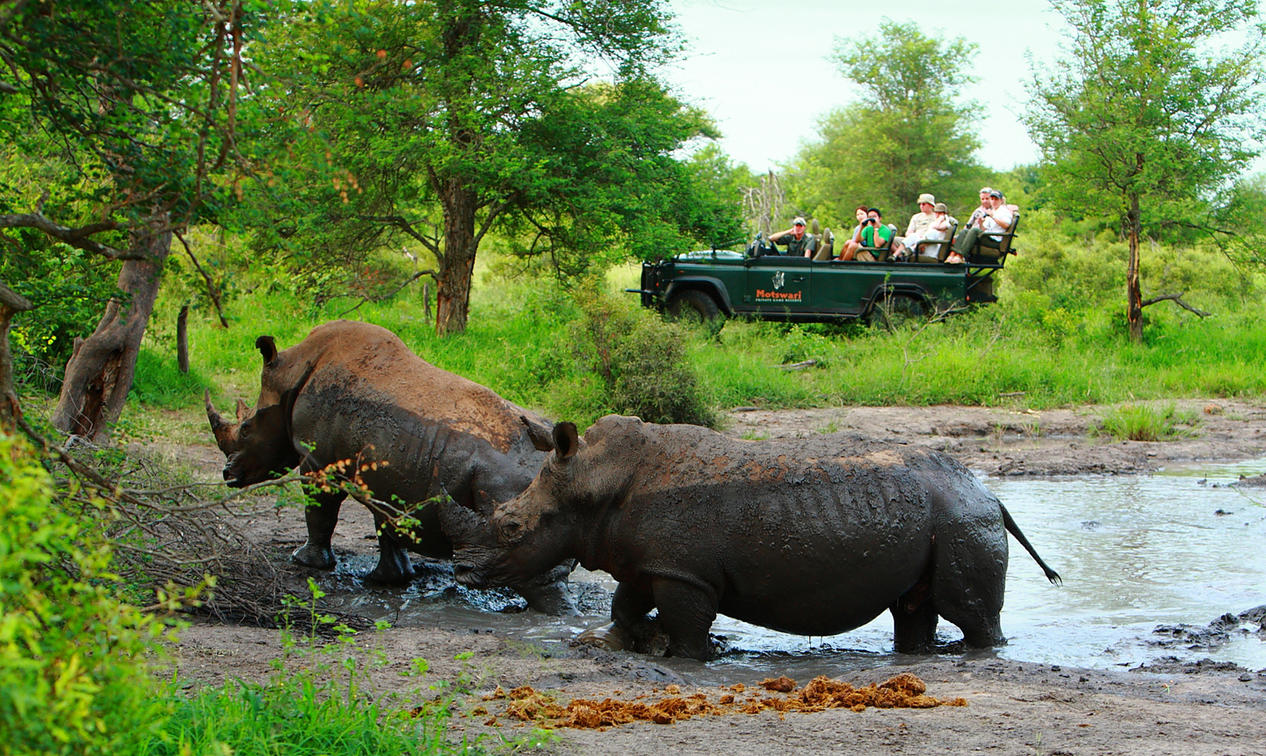geiger's camp wildlife 6