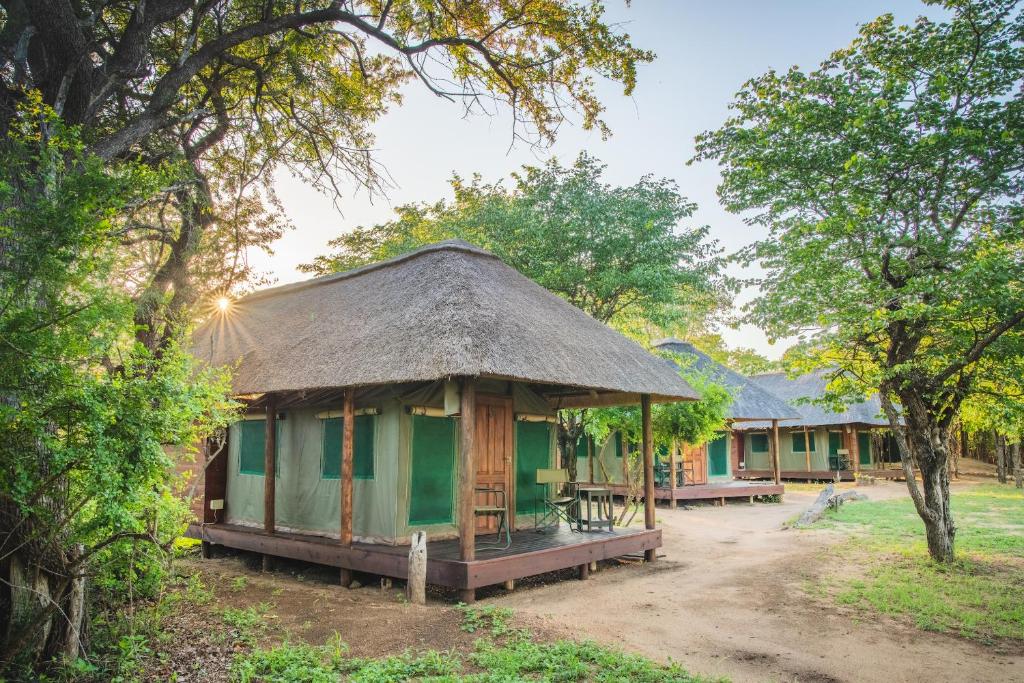 shindzela tented safari camp 1