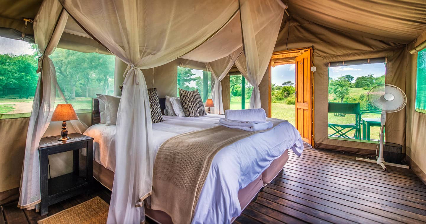 shindzela tented safari camp 3