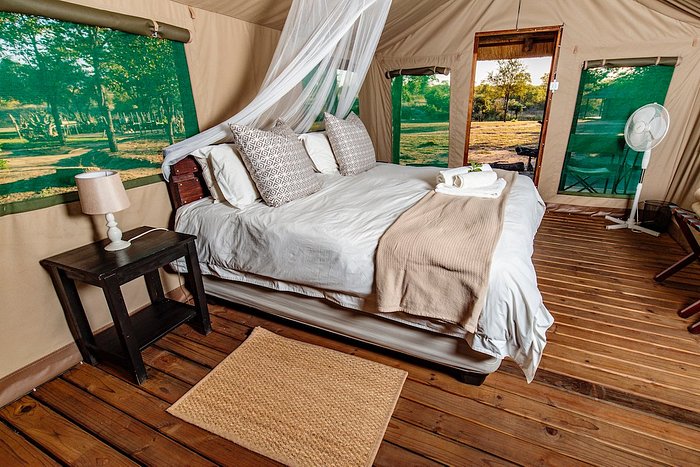 shindzela tented safari camp 5