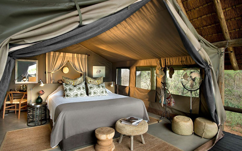shindzela tented safari camp 6