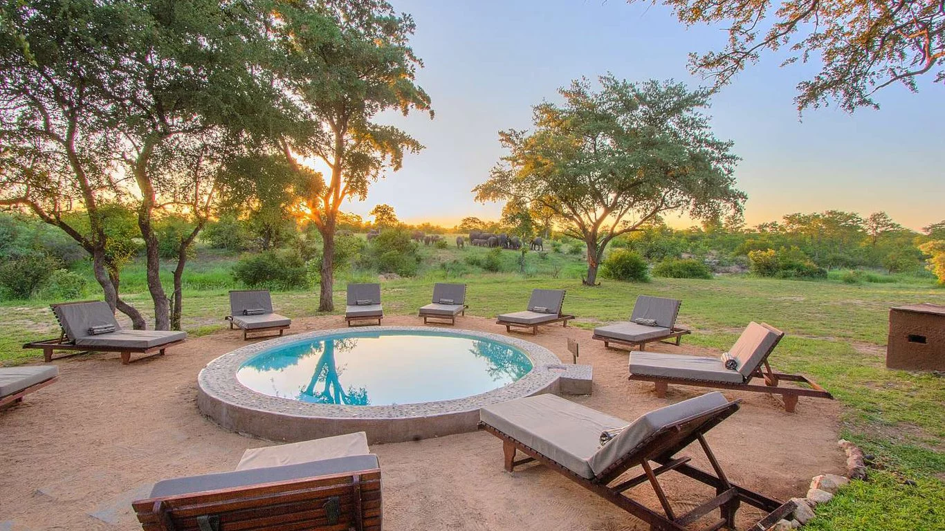 shindzela tented safari camp 7