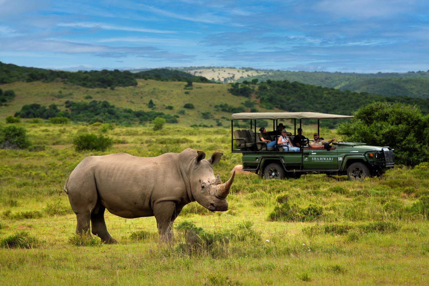 1774004330742activitiesgame drive rhino