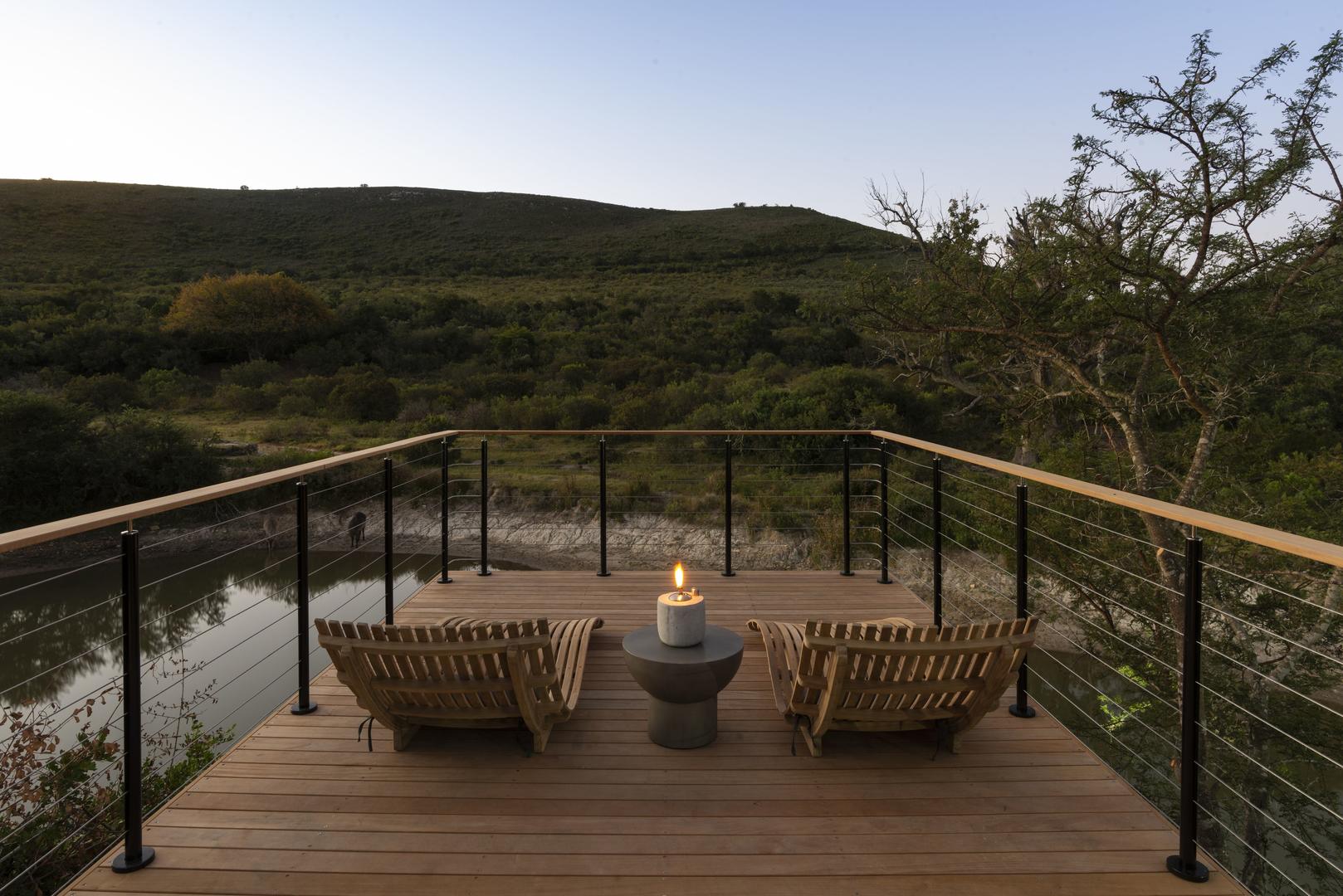 Bayethe on Shamwari Private Game Reserve 1