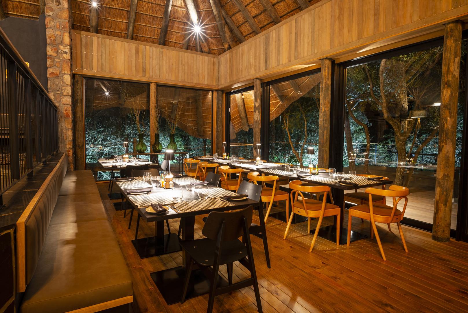 Bayethe on Shamwari Private Game Reserve 4