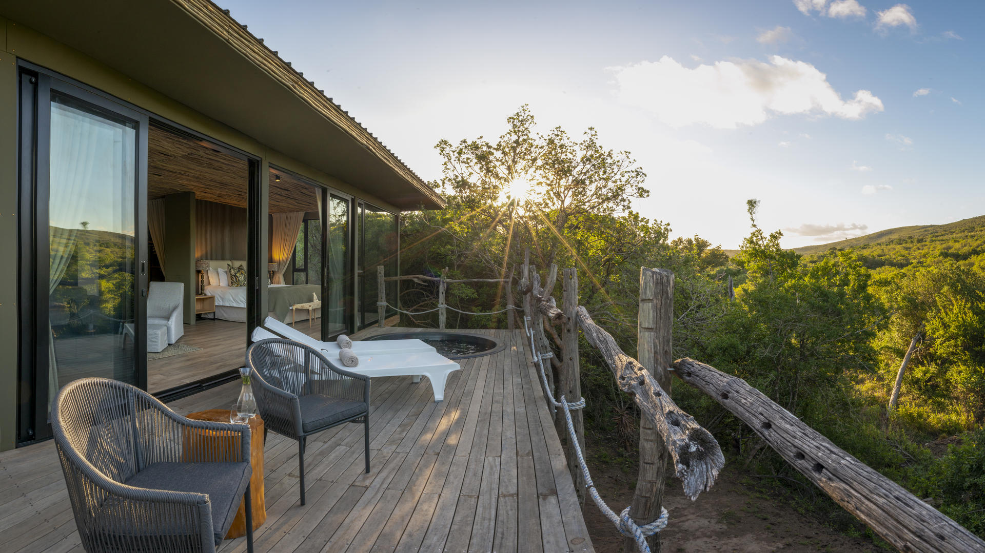 Bayethe on Shamwari Private Game Reserve 6