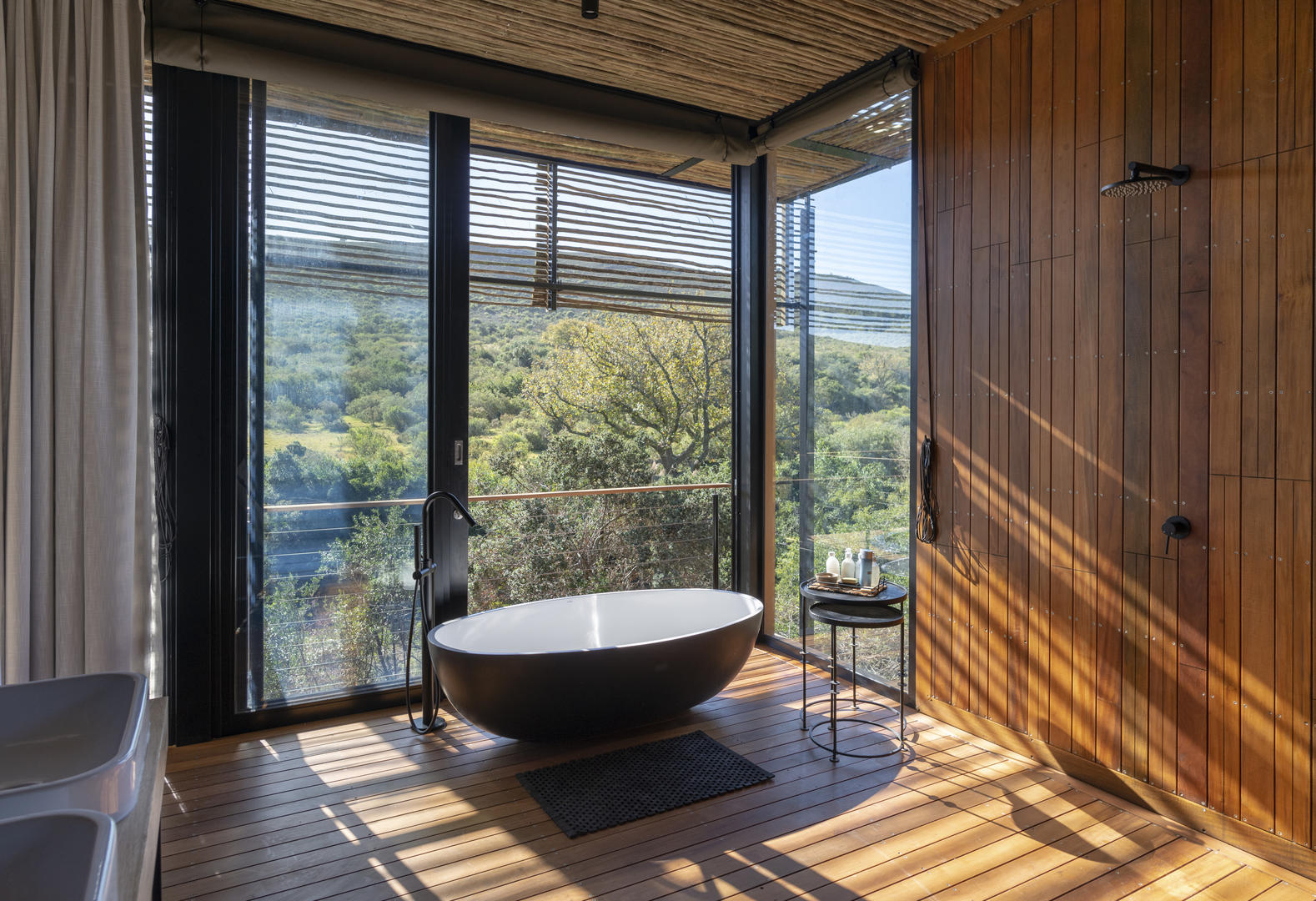 Bayethe on Shamwari Private Game Reserve 7