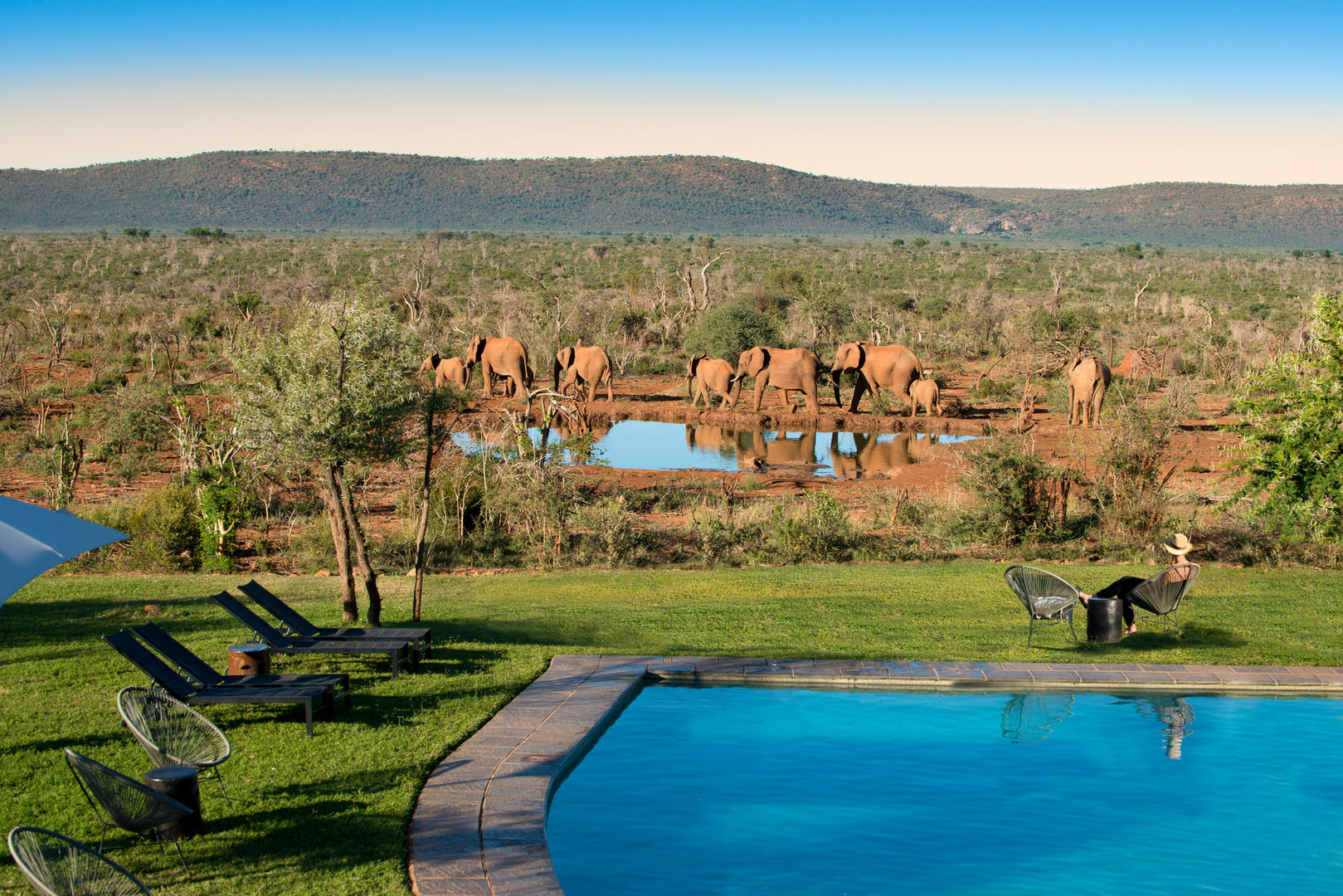 Lelapa Camp Guest pool view