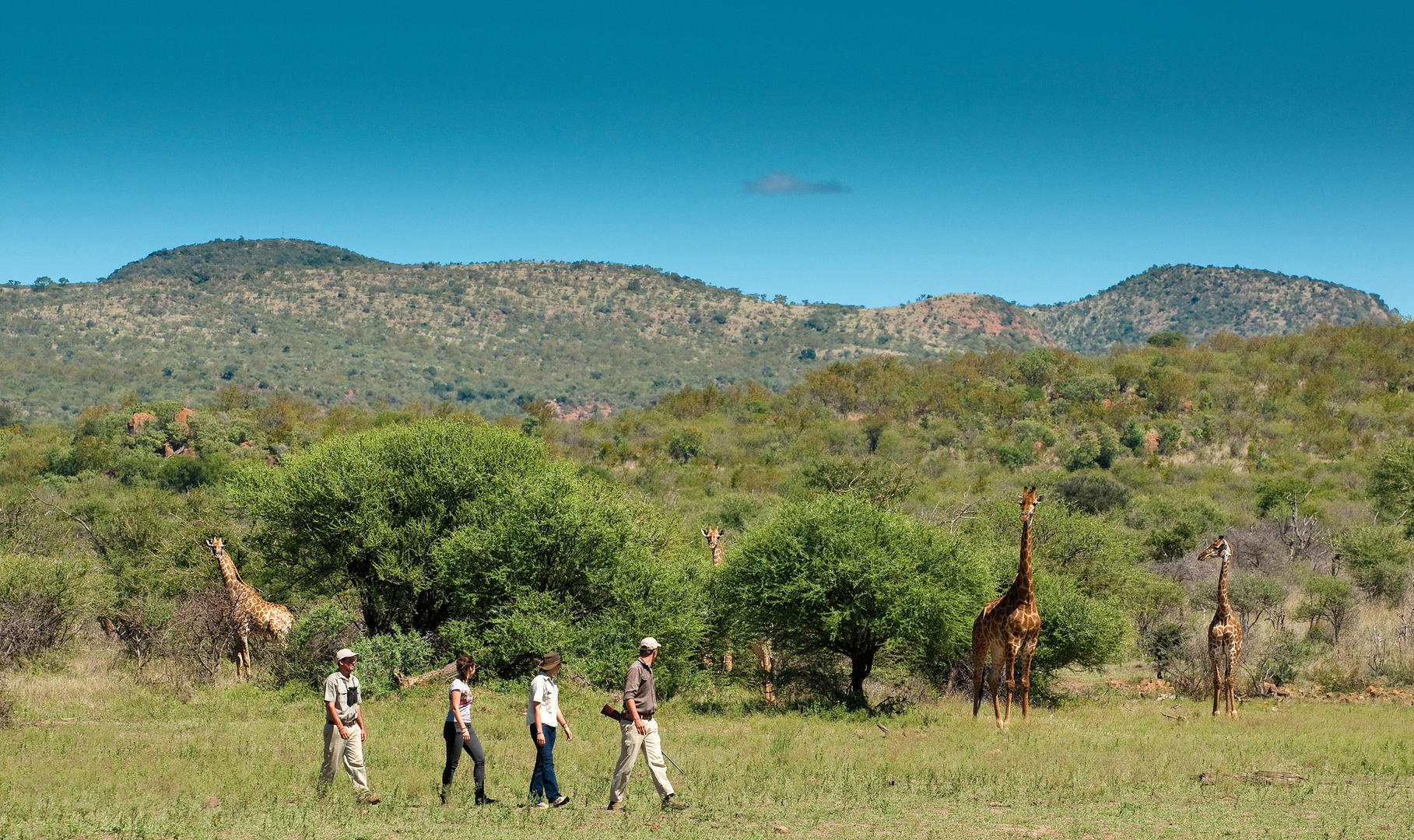 On Safari Bush walk