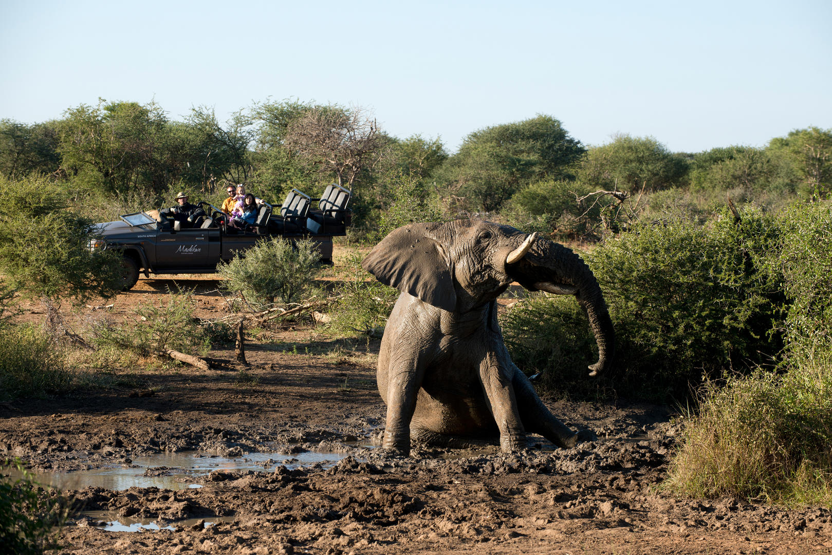 On Safari Game drive