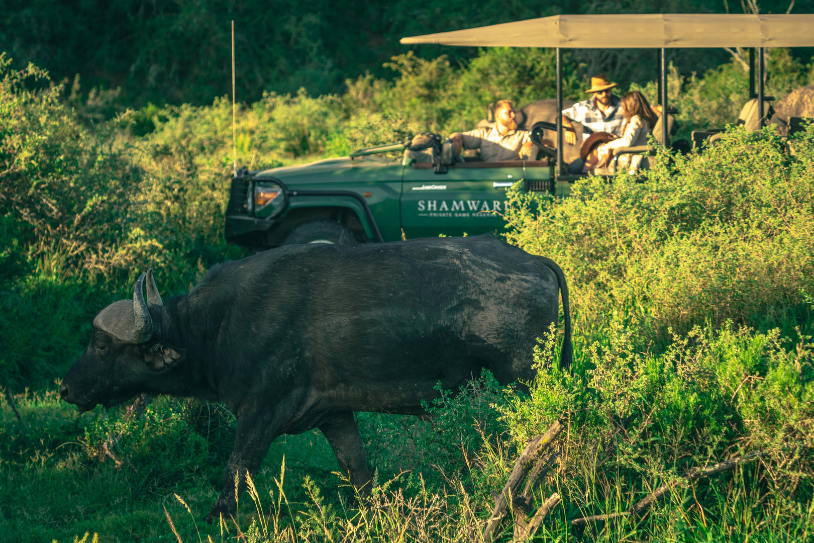 Shamwari Private Game Reserve