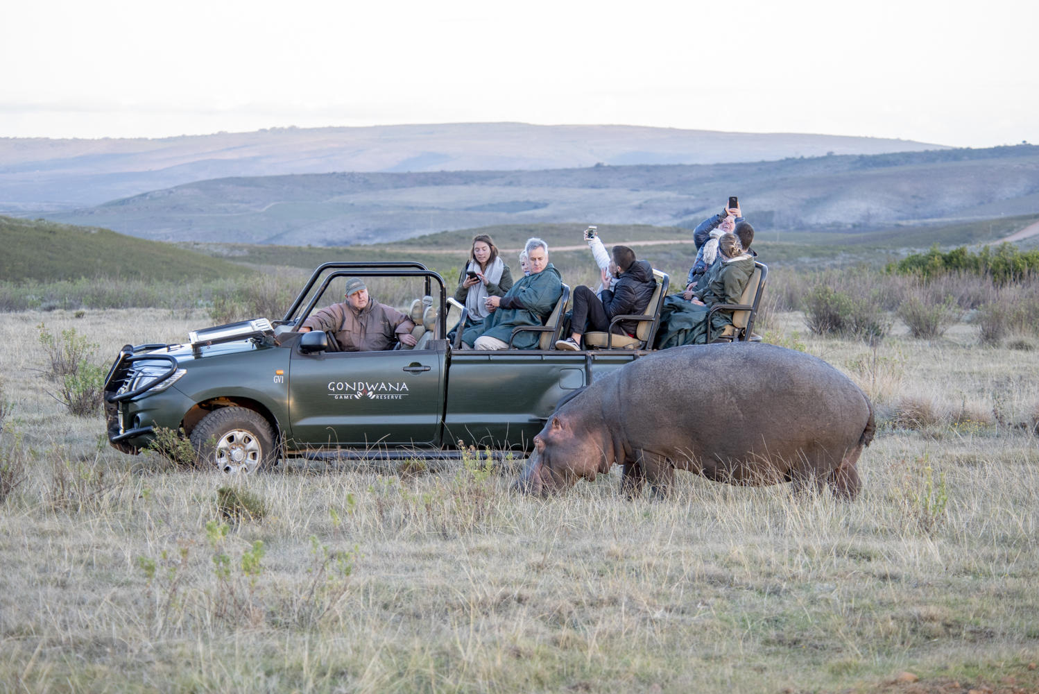 hippo with game vehicle high res1