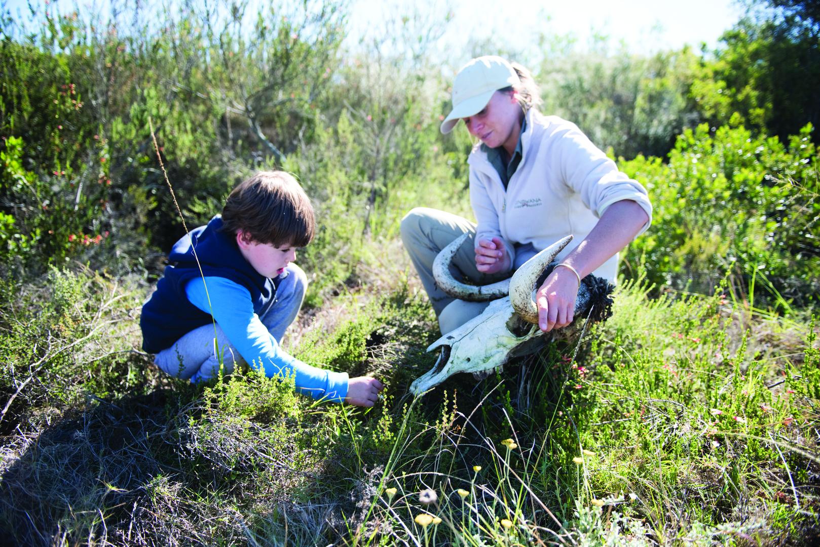 junior ranger activity