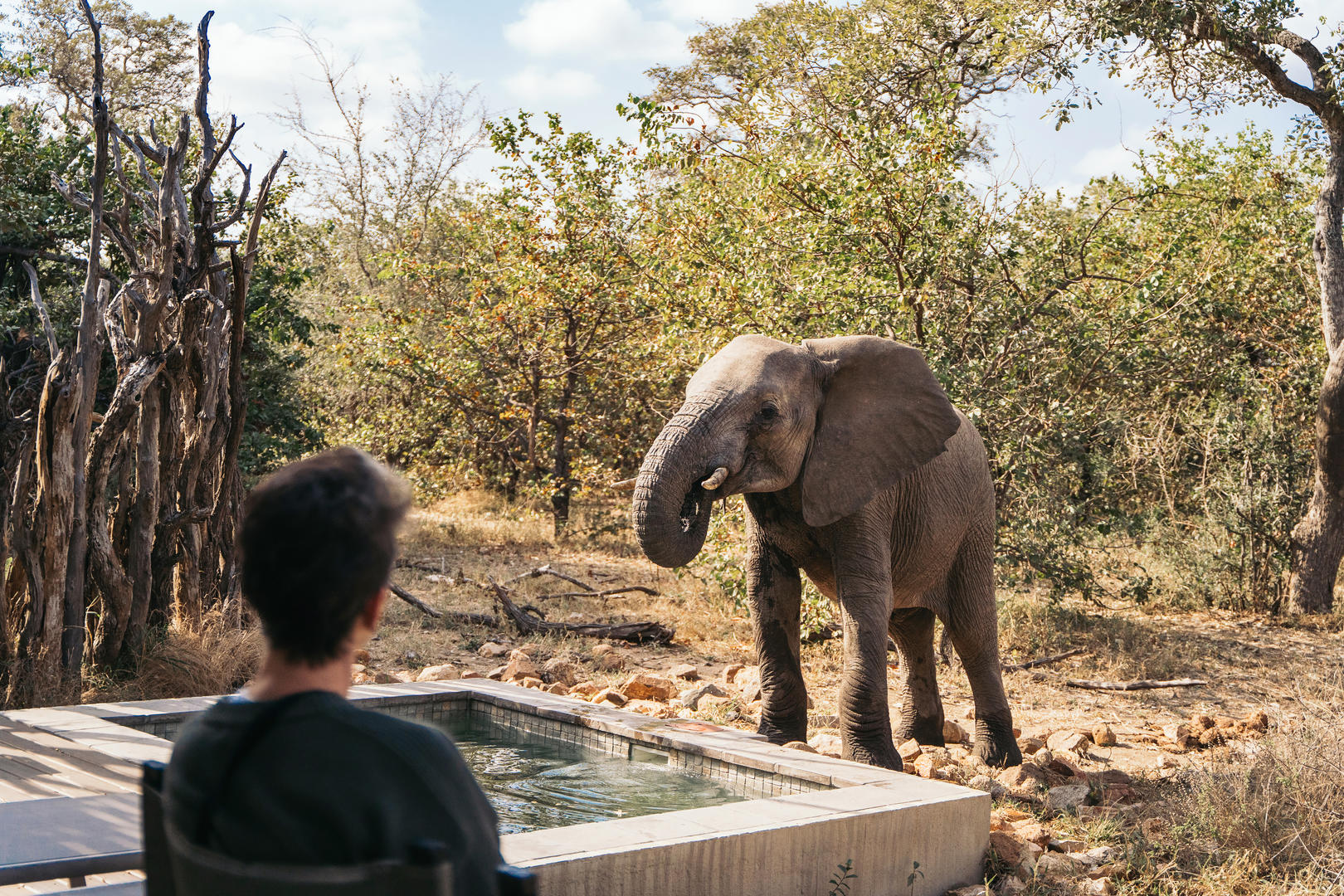 simbavati river lodge9