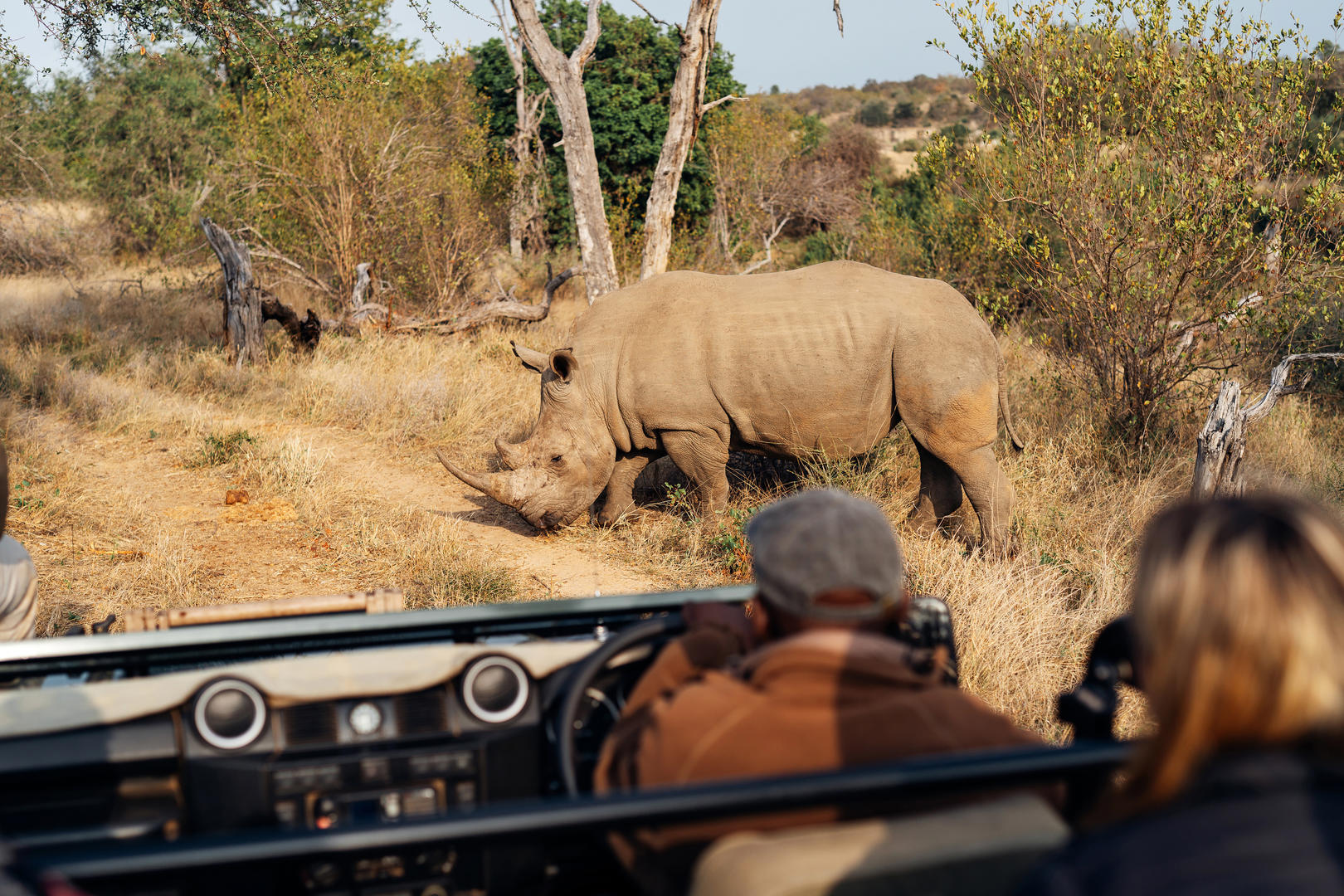 simbavati safari experiences1