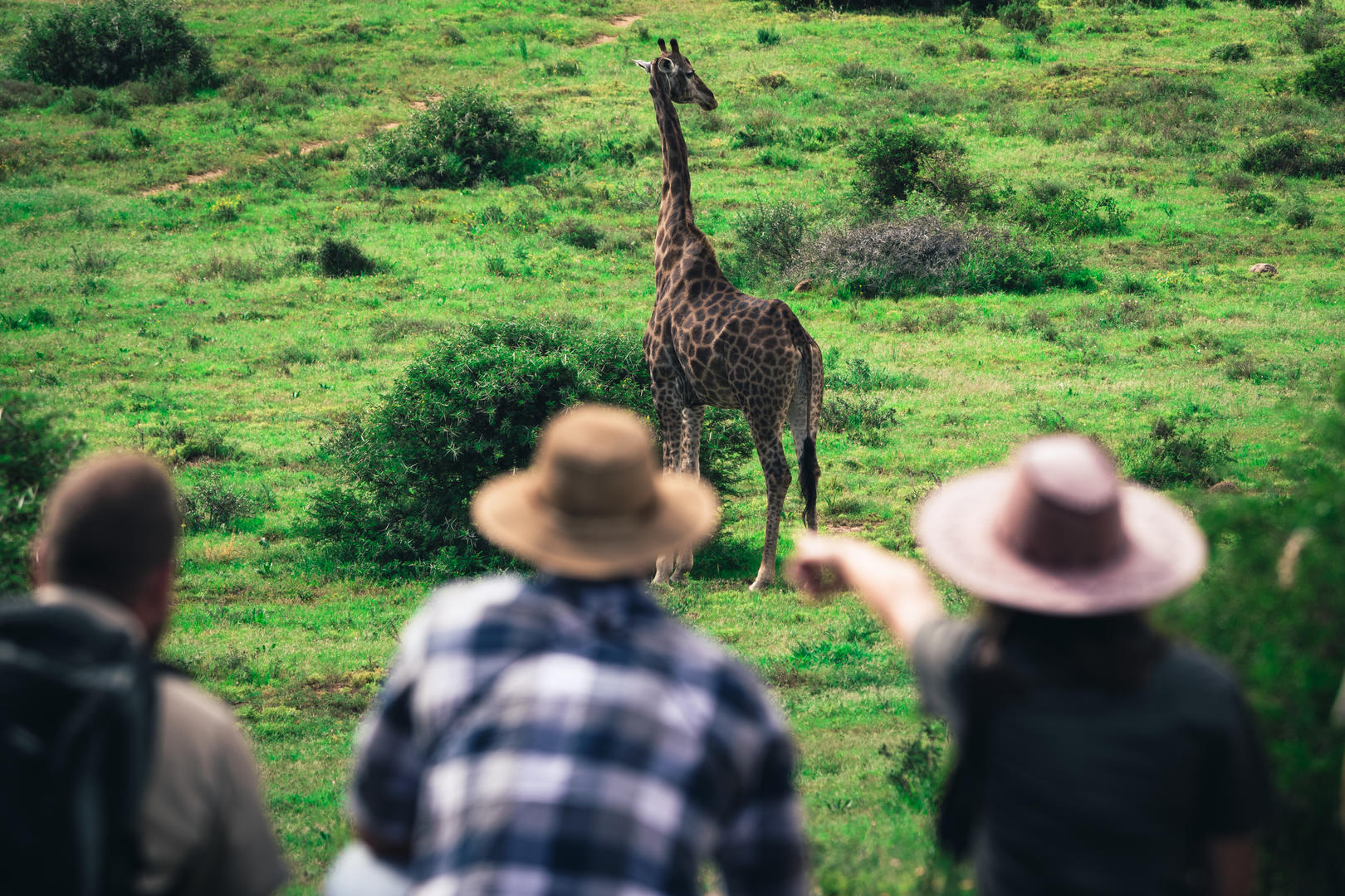 Explorer Camp on Shamwari Private Game Reserve 3