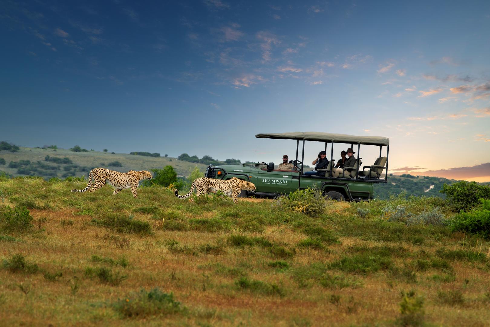 Game Drive