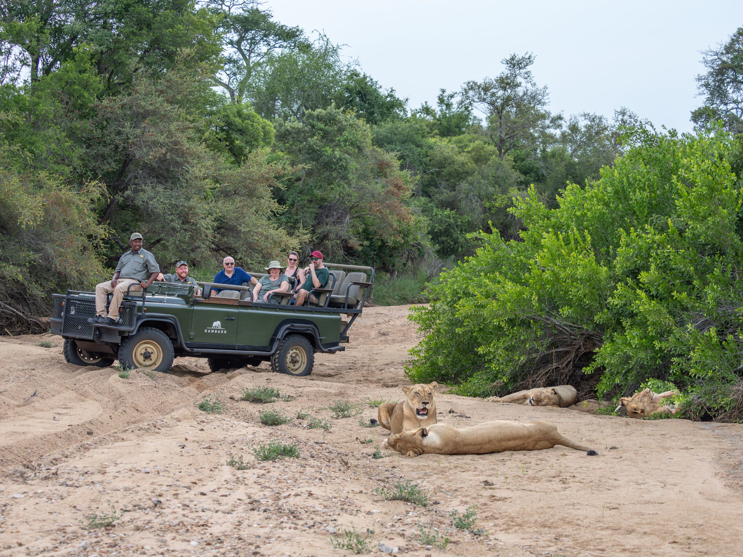 Game drive 3