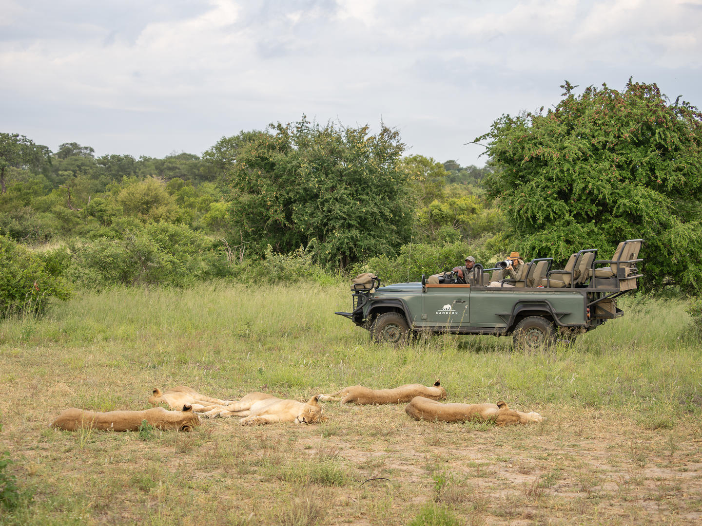 Game drive