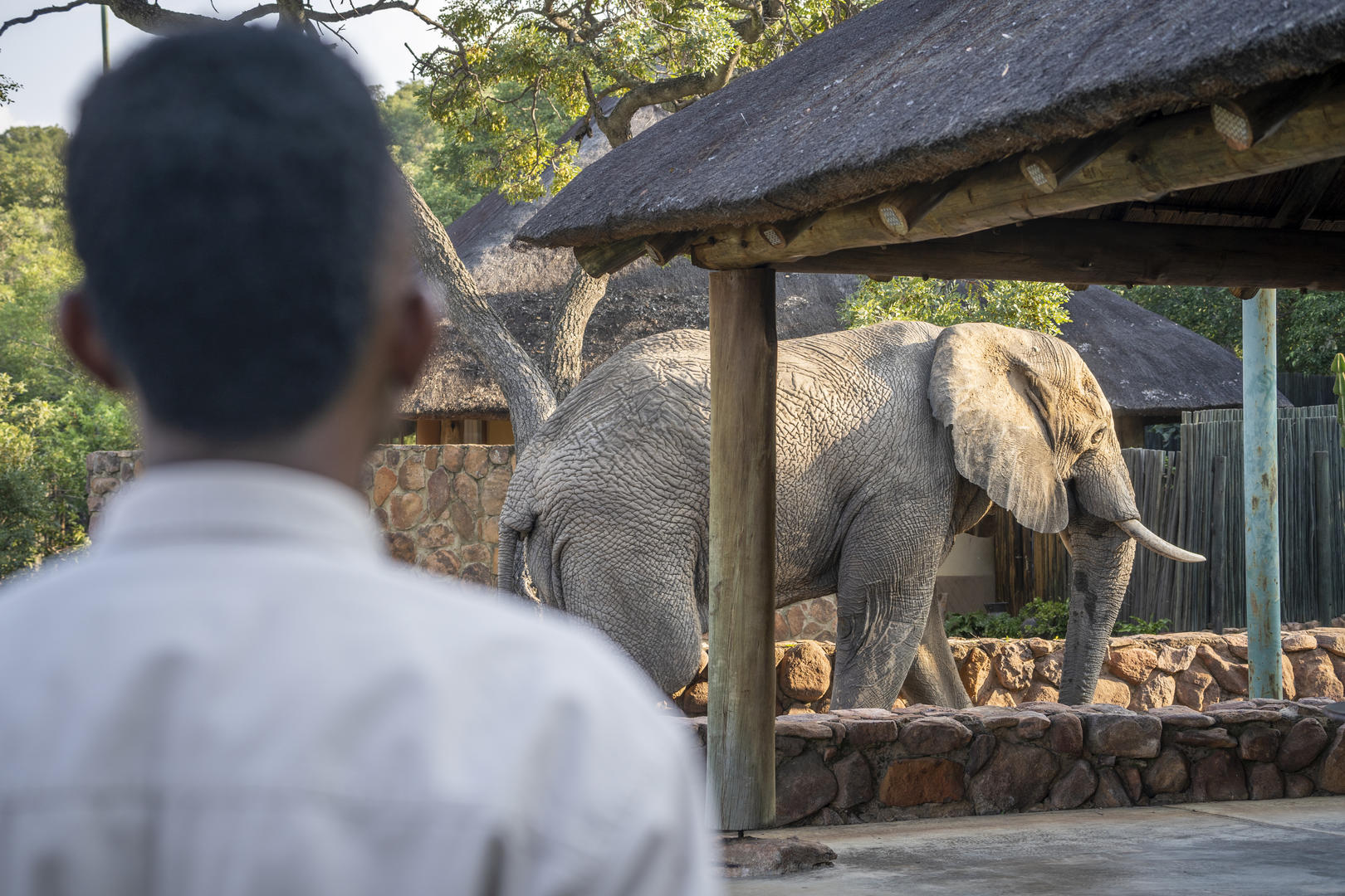 Lodge Game Viewing
