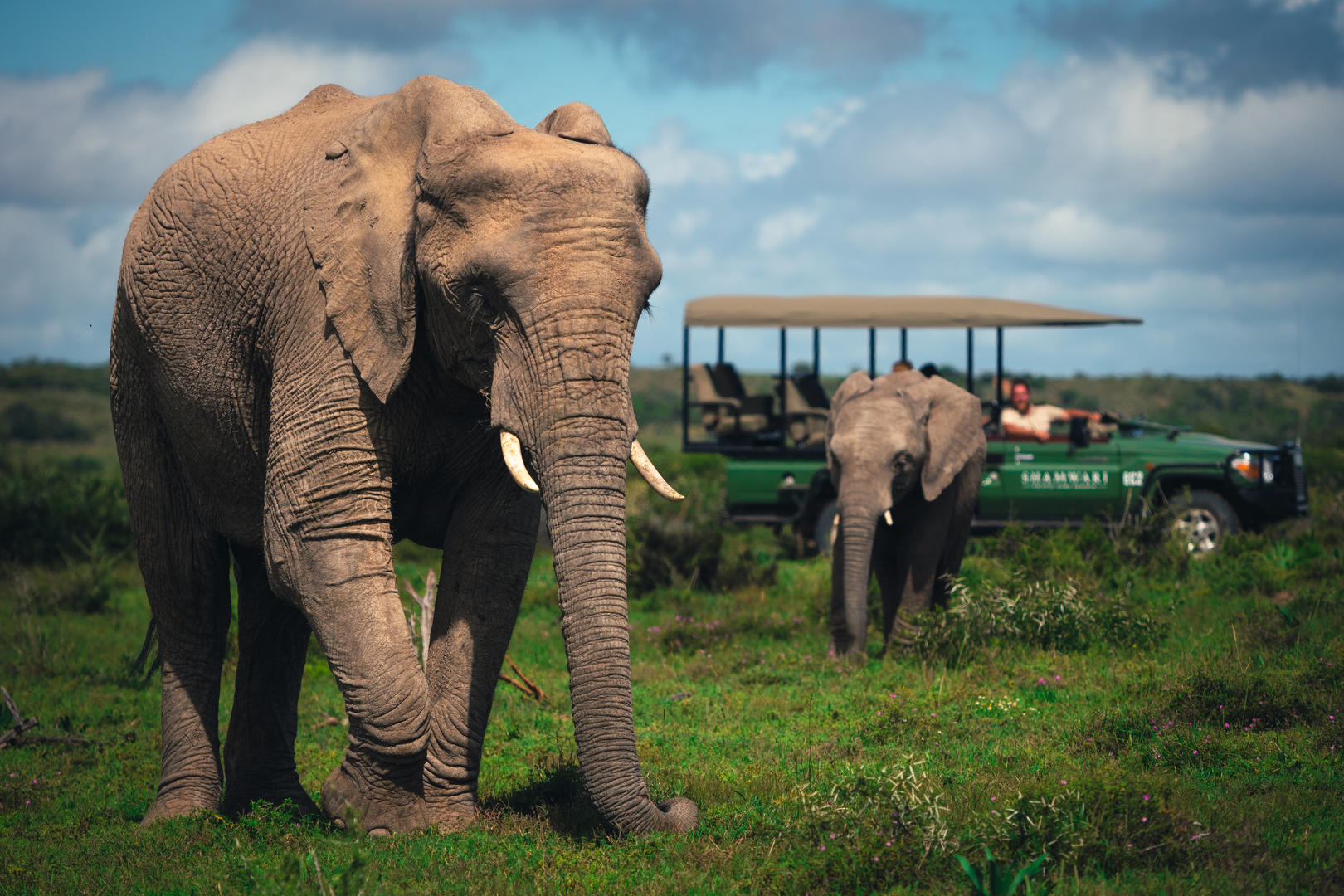 Shamwari Private Game Reserve 1