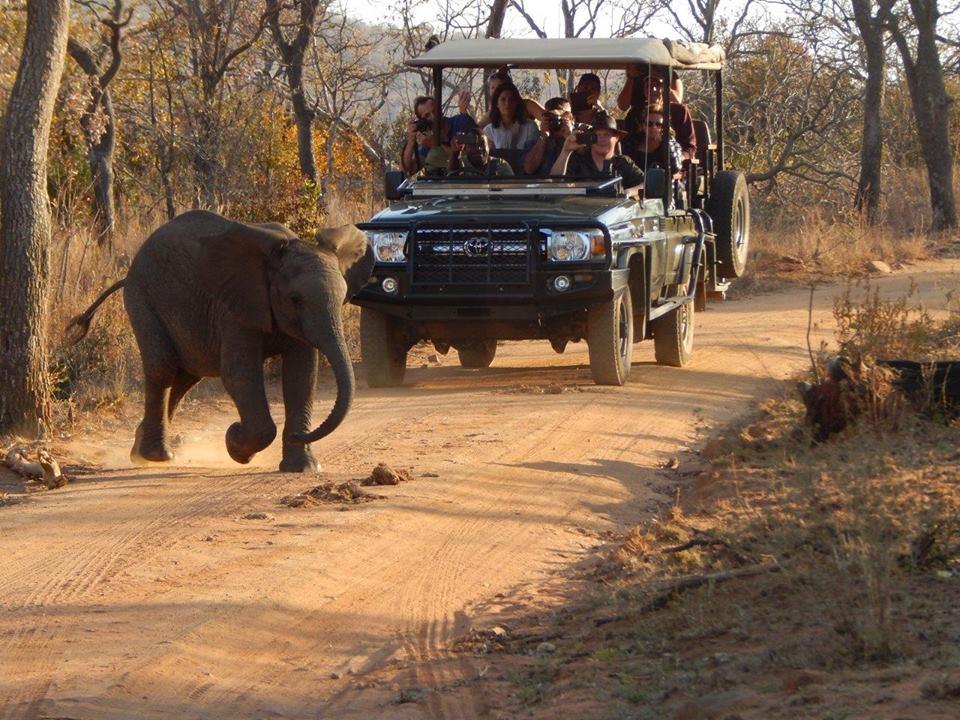 clifftop exclusive safari hideaway safari