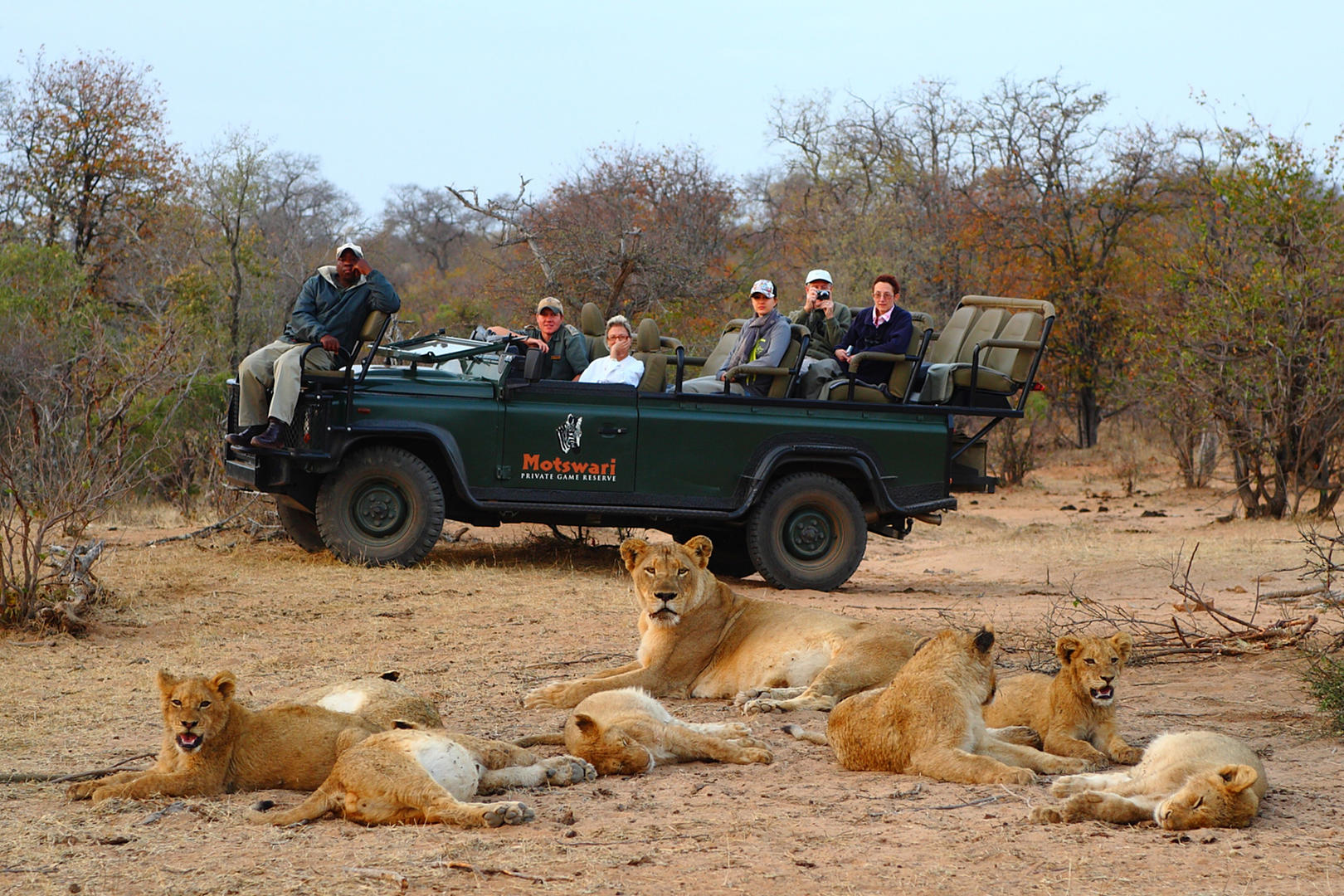 Motswari Geigers Camp Wildlife (1)
