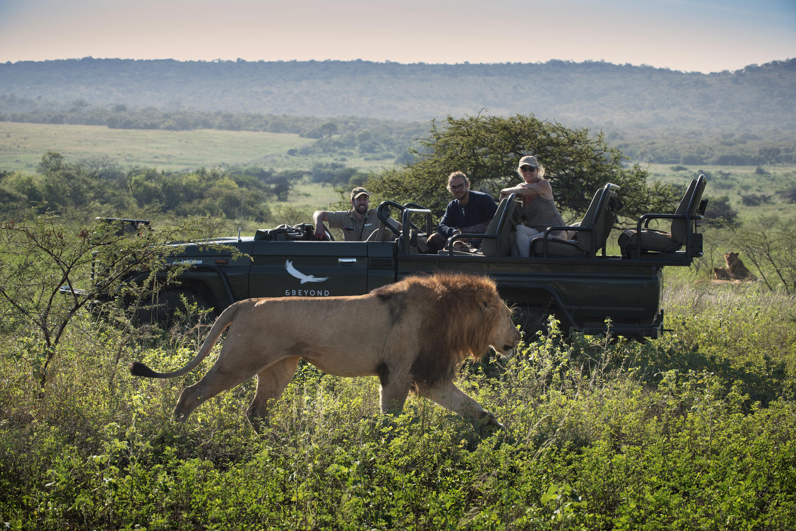 andBeyond Ngala Safari Lodge Wildlife (11)