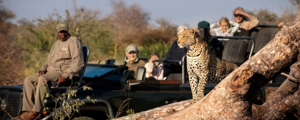 RockFig Safari Lodge Game Drive with Leopard3 Out on safari banner
