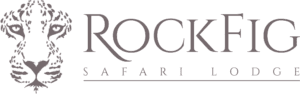 RockFig logo