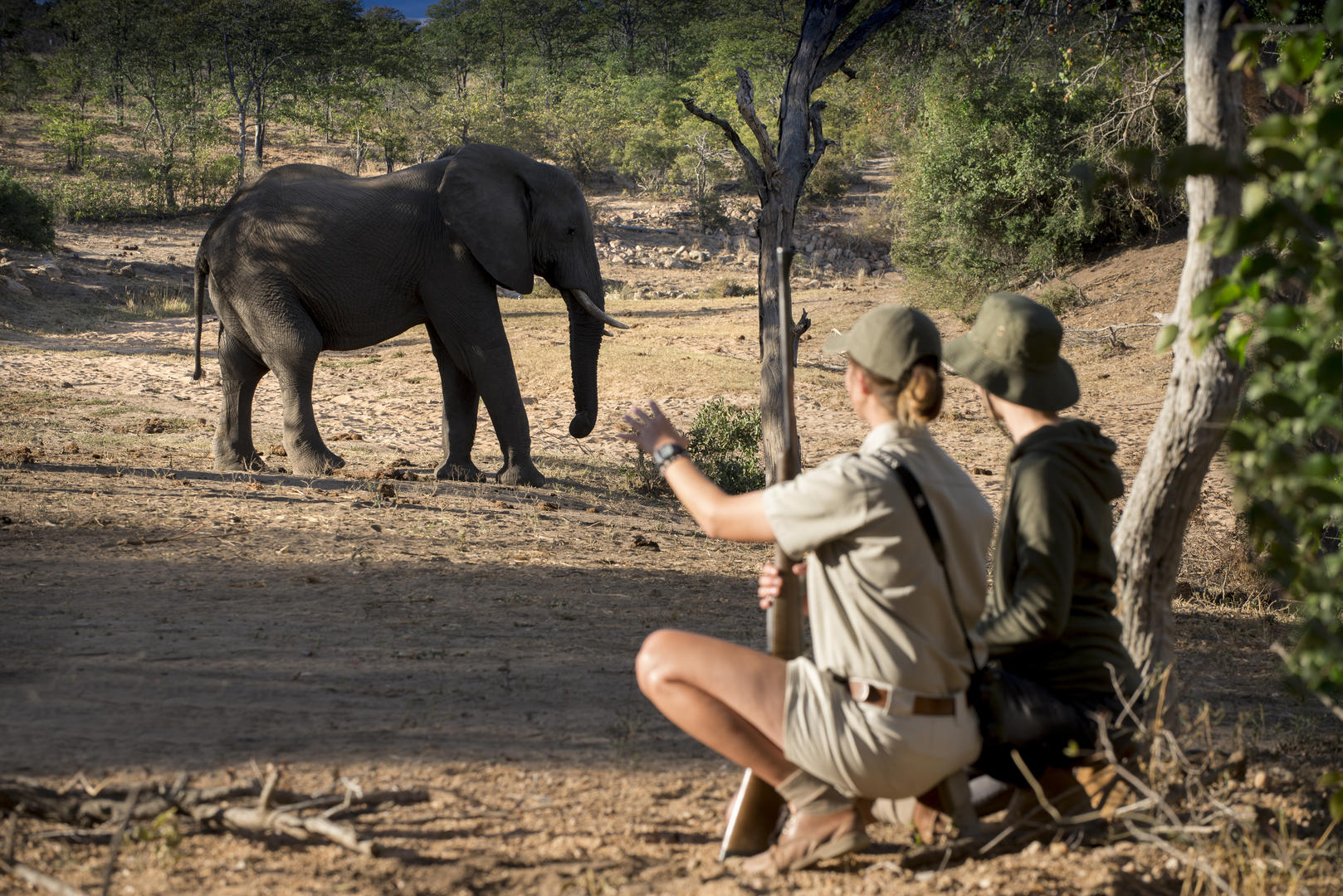 Ngala Private Game Reserve 6