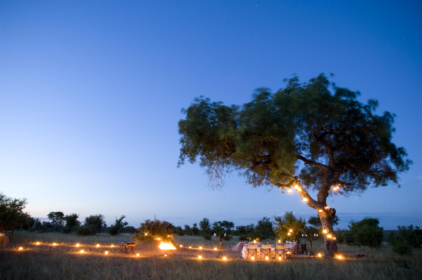Ngala Private Game Reserve 7