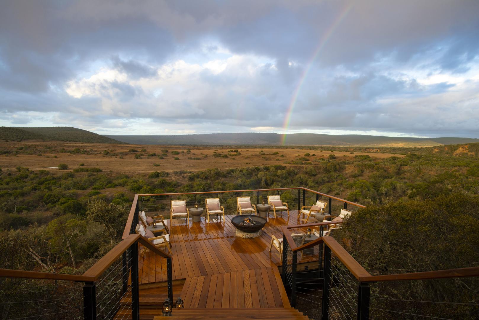 Sindile at Shamwari Private Game Reserve 1