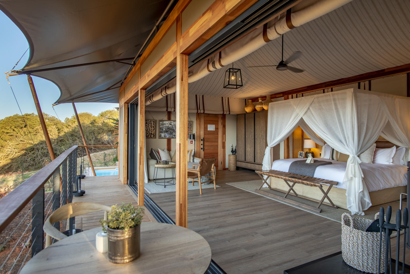 Sindile at Shamwari Private Game Reserve 8