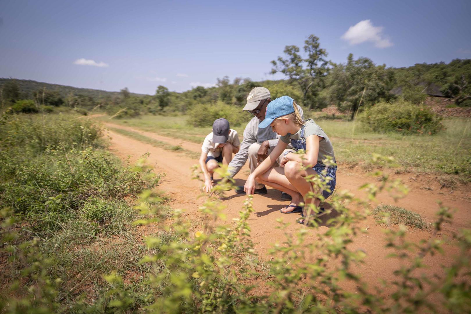 eco warrior program