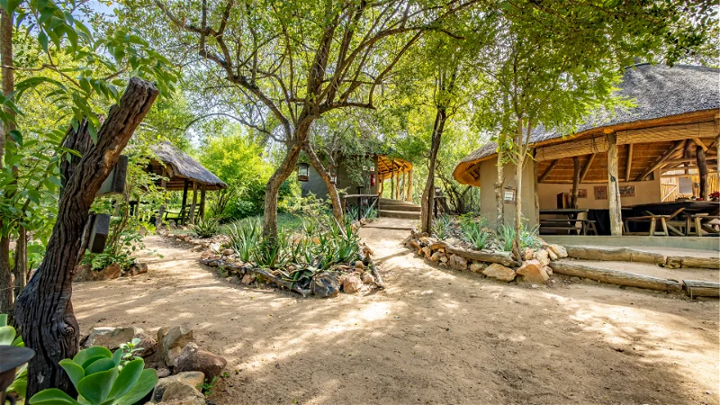 Umlani Bushcamp (3)