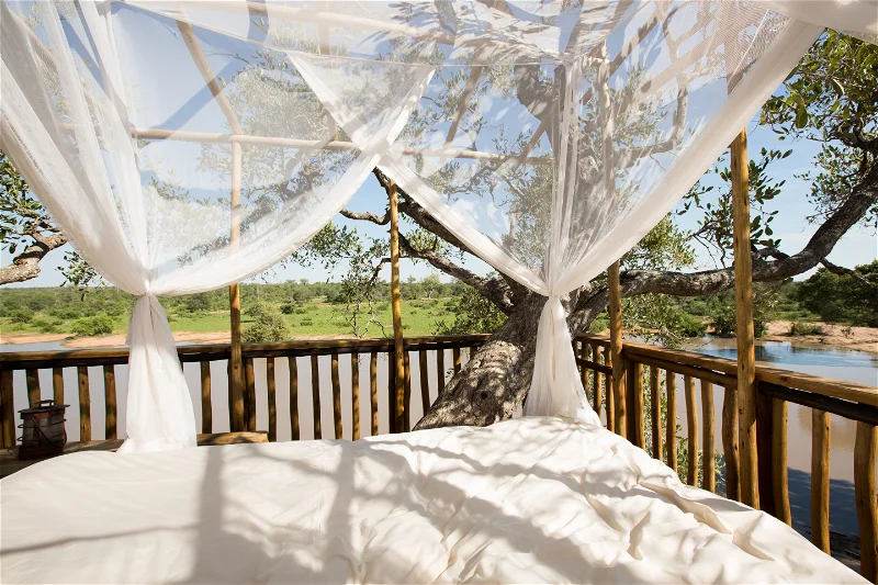Umlani Bushcamp Accommodation